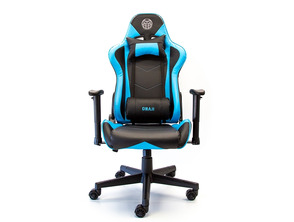 Añadir a la cesta Silla Gaming Onaji Asura Pro Carbon 2D Azul Silla Gaming Onaji Asura Pro Carbon 2D Azul