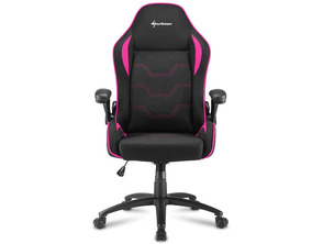 Añadir a la cesta Silla Gaming Sharkoon Elbrus 1 Negro/Rosa 160G Silla Gaming Sharkoon Elbrus 1 Negro/Rosa 160G