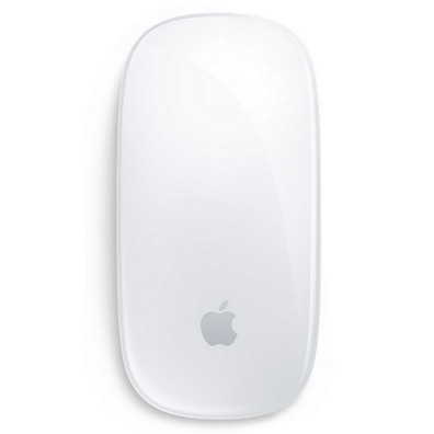 RATON APPLE MAGIC MOUSE 2