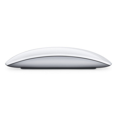 RATON APPLE MAGIC MOUSE 2