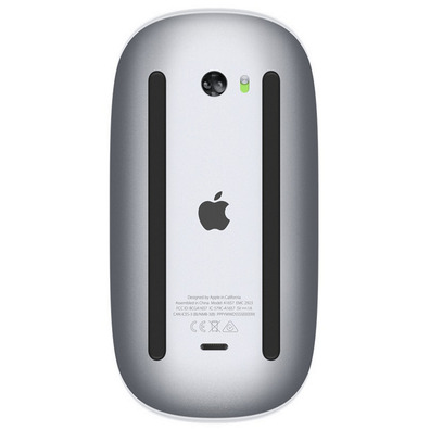 RATON APPLE MAGIC MOUSE 2