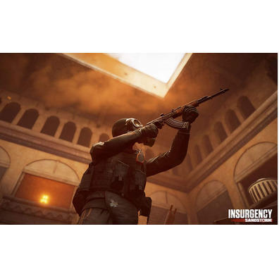 Insurgency Sandstorm PS4