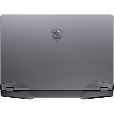 Portátil MSI GE66 10SFS Raider 623XES i7/32GB/1TB/RTX2070