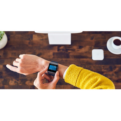 Smartwatch Fitbit Ionic Deportivo Gris Metalizado