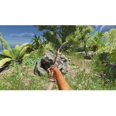 Stranded Deep Switch