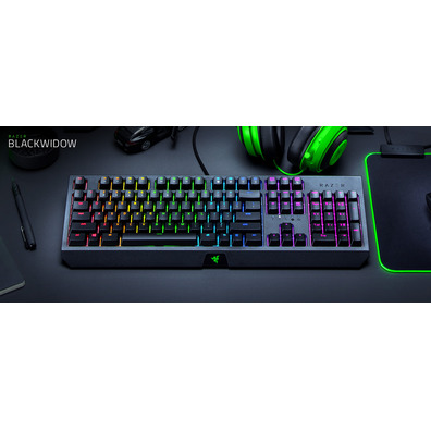 Teclado Razer Blackwidow Green Switch