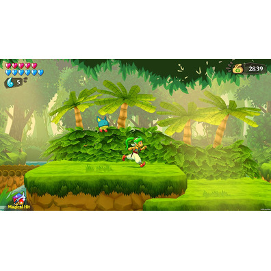 Wonder Boy Asha in Monster World Switch