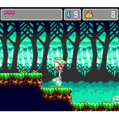 Wonder Boy Collection Switch