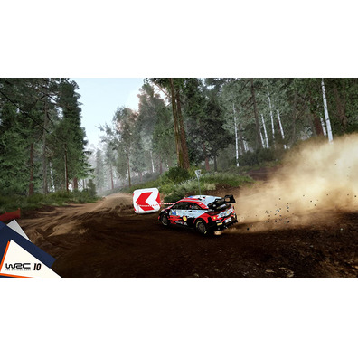 WRC 10 - The Official Game Switch