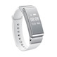 Huawei TalkBand B2 Plata