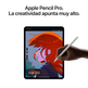 Apple iPad Pro 11 2024 5th Wifi/ M4/ 256Gb/ Negro Espacial