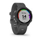 Reloj Deportivo Garmin Forerunner 245 Gris GPS/Pusioximetro